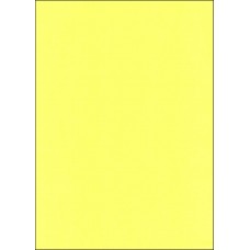 A4 YELLOW CARBONLESS PAPER - BOTTOM COPY (CF)